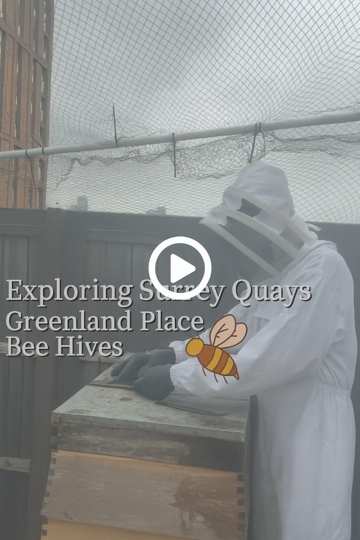 Saving Bees in Surrey Quays: Our Visit to BeesMax and Why It Matters