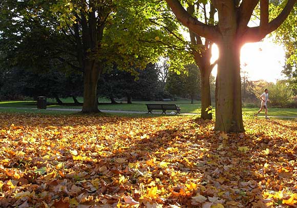 London in the Autumn