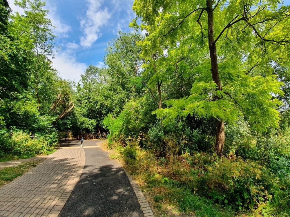 Russia Dock Woodland